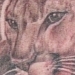 Tattoos - Jason's SD Mountain Lion - 13220